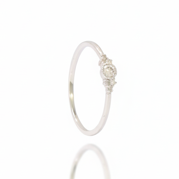 Anillo de oro blanco y diamantes