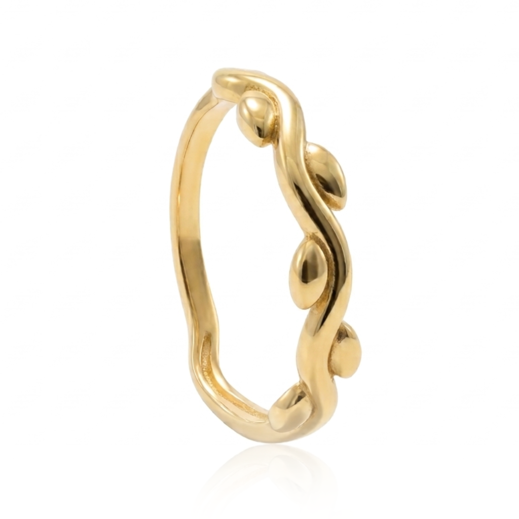 Anillo Aroa