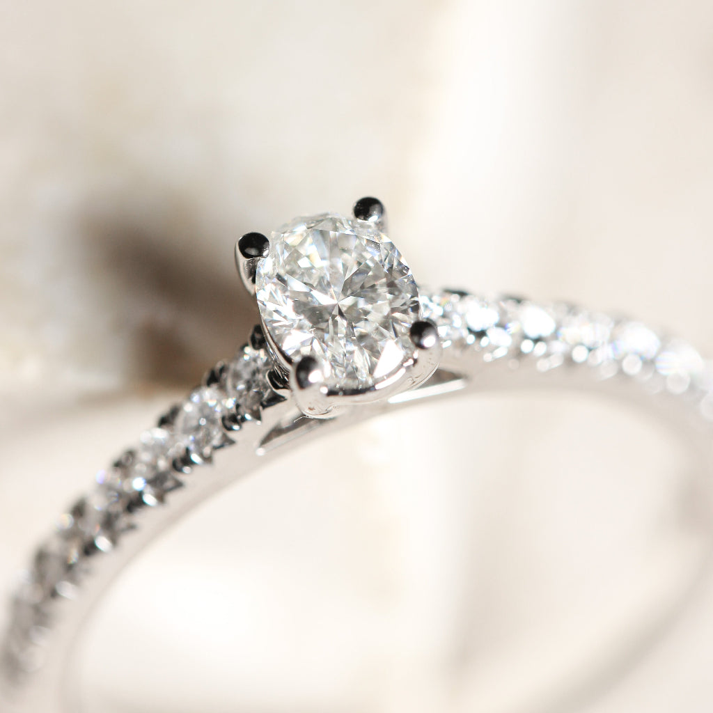 Anillo de compromiso oro blanco solitario pavé