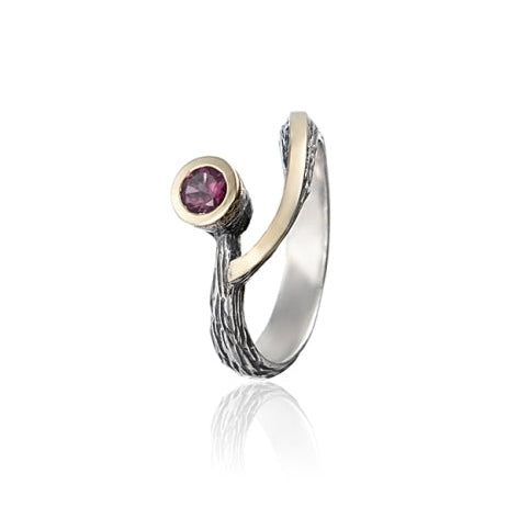 anillo styliano