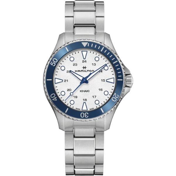 Hamilton Correa de Acero