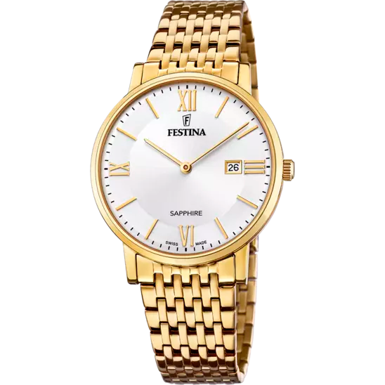 Festina watch F20020/1